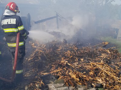 Casă și adăpost de animale …