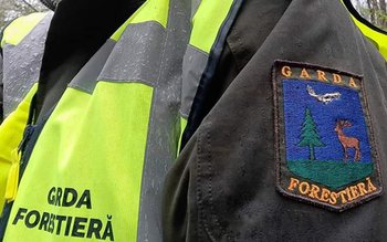 Acțiune amplă a polițiștilor pentru …