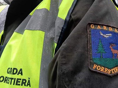 Acțiune amplă a polițiștilor pentru …