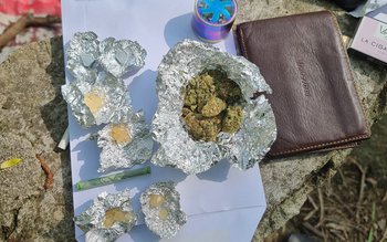 Dosare penale după o acțiune …