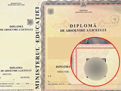 Actele de studii vor avea …