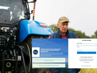 Se apropie termenul-limită pentru subvenții. …