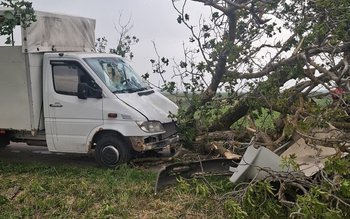 Rafalele de vânt fac pagube …