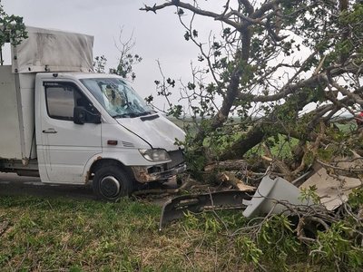 Rafalele de vânt fac pagube …