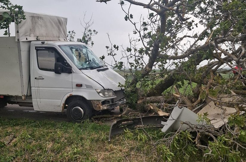 Rafalele de vânt fac pagube în județ. Copac căzut pe o mașină la Roma și mai multe probleme produse în Botoșani
