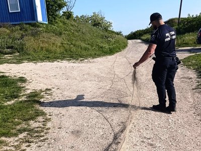 O nouă lovitură dată braconierilor: …
