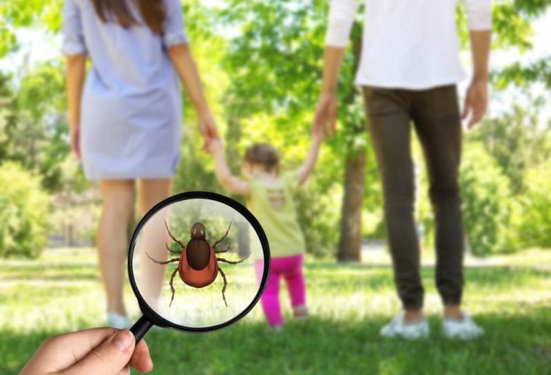 Cum să ne bucurăm de iarbă, fără căpușe