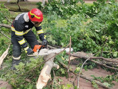 Creangă uriașă căzută în parcul …