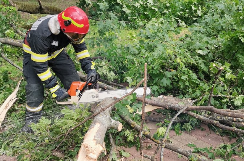 Creangă uriașă căzută în parcul Mihai Eminescu din Botoșani. Pompierii au intervenit