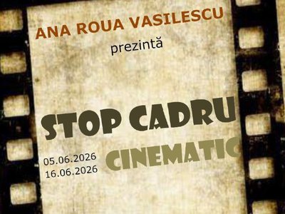Expoziția „Stop cadru cinematic”, Ana …