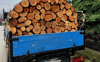 Material lemnos confiscat și amendă …