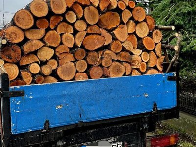 Material lemnos confiscat și amendă …