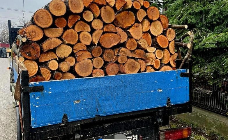 Material lemnos confiscat și amendă în valoare de 2.000 de lei