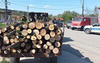 Material lemnos confiscat la Leorda