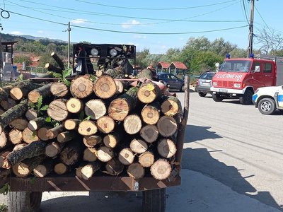 Material lemnos confiscat la Leorda