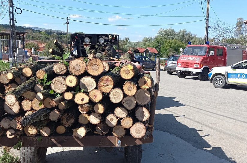 Material lemnos confiscat la Leorda