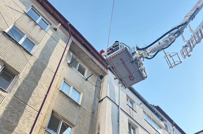 Jandarmii solicitați să intervină pentru a îndepărta un roi de albine de pe o stradă din Botoșani