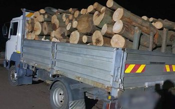 Material lemnos confiscat de polițiști …