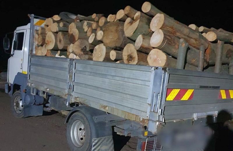 Material lemnos confiscat de polițiști la Corlăteni