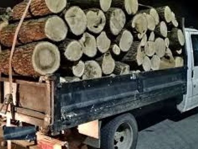 Material lemnos confiscat pentru lipsa …