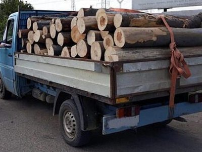 Material lemnos confiscat de polițiști …