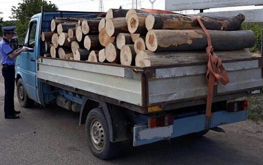 Material lemnos confiscat de polițiști la Roma. Conducătorul auto se afla sub influența alcoolului