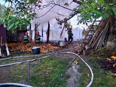 Incendiu puternic la Carasa. Adăpost …