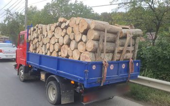 Amenzi aplicate și material lemnos …