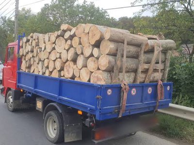 Amenzi aplicate și material lemnos …
