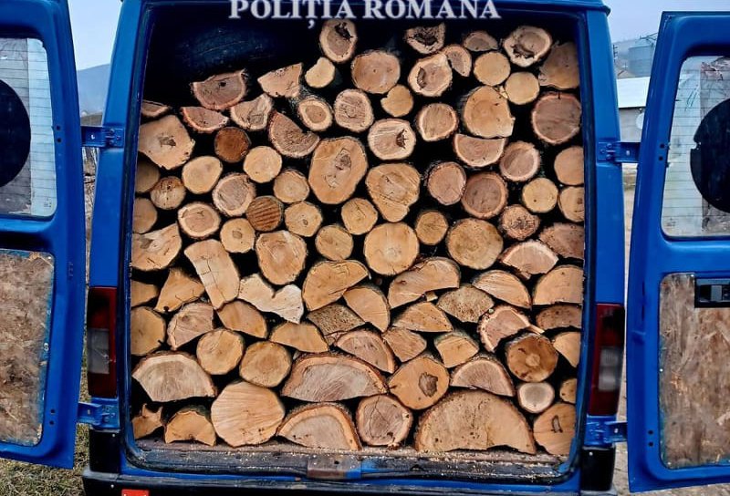 Material lemnos confiscat de polițiști în Dorohoi
