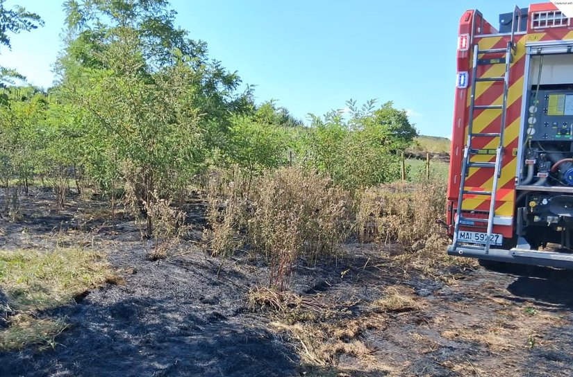 Pompierii mobilizați pentru stingerea unui incendiu de vegetație uscată la Știubieni