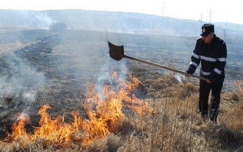 Cinci incendii de vegetație uscată, …