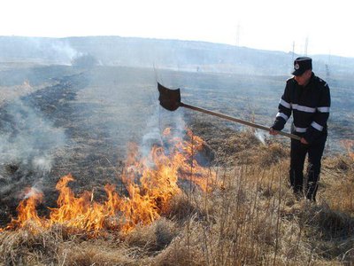 Cinci incendii de vegetație uscată, …