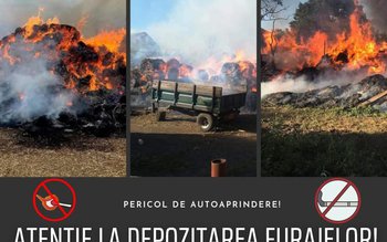 Atenție cum depozitați furajele! Există …
