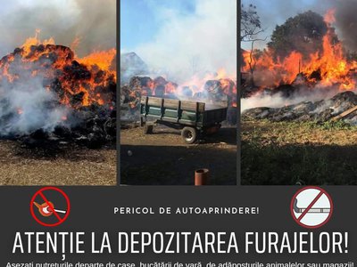 Atenție cum depozitați furajele! Există …