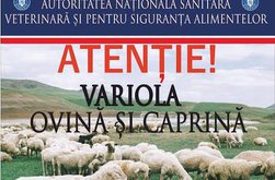Autorităţile sanitar-veterinare, în alertă după …