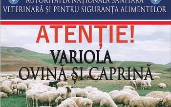 Autorităţile sanitar-veterinare, în alertă după …