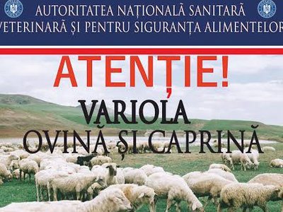 Autorităţile sanitar-veterinare, în alertă după …