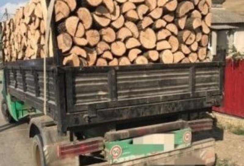 4,5 metri cubi de material lemnos confiscat de polițiști la Pomârla