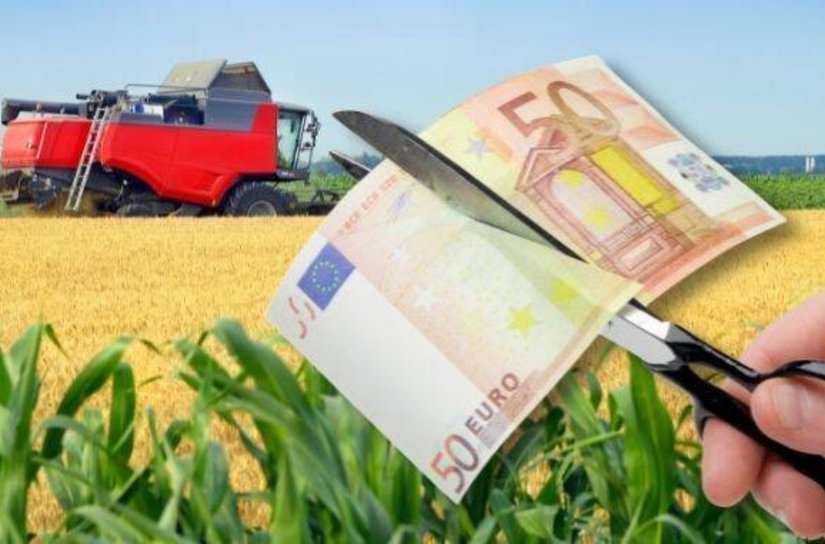 APIA taie subvențiile pentru mii de fermieri. Primele controale au eliminat peste 4.500 de hectare