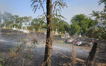 Incendiu violent într-un cimitir din …