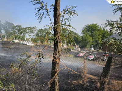 Incendiu violent într-un cimitir din …