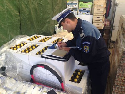 29 de agenți economici verificați. …