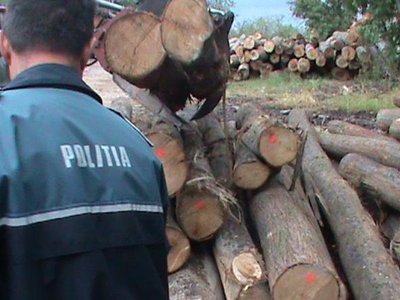 Acțiune a polițiștilor din Hlipiceni. …