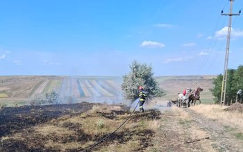 Două incendii de vegetație, uscată …