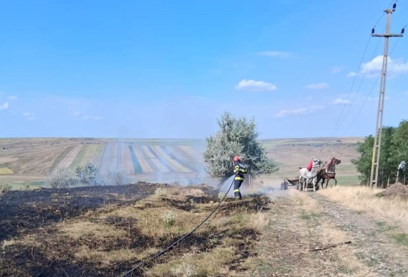 Două incendii de vegetație, uscată izbucnite la Vorniceni și Mănăstirea Doamnei