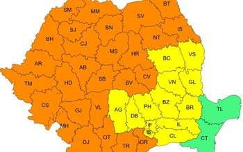 Cod portocaliu de caniculă pentru …