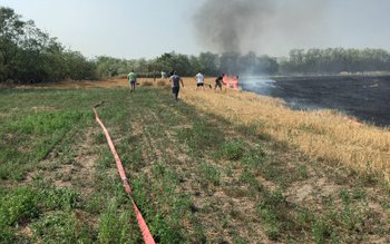 Incendiu pe circa 50 de …