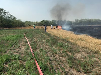 Incendiu pe circa 50 de …