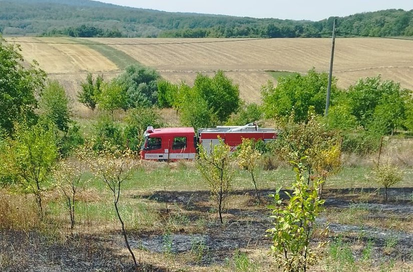 Trei incendii de vegetație uscată la un pas să se extindă la locuințe în Dorohoi, Cristești și Tudor Vladimirescu